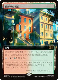card298260-series8038002-rarity323476