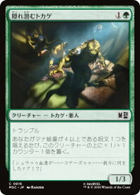 card322678-series8038002-rarity323480