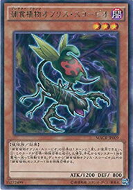 card5426-series12275-rarity62