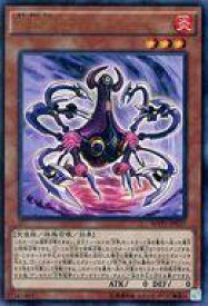 card5893-series13480-rarity13439
