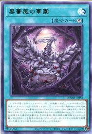 card101-series62-rarity62