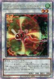 card_8855_
