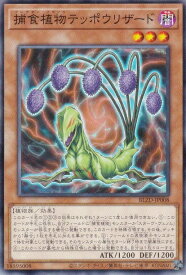 card2879133-series2790245-rarity1