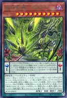 card2879137-series2790245-rarity62