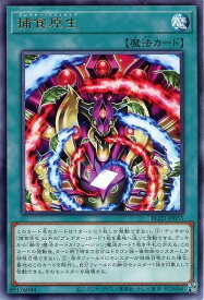 card2879180-series2790245-rarity62