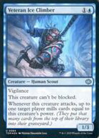 card287399-series165565-rarity323478