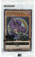 card_13558_series_28954_rarity_2_