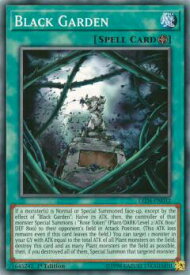 card_13558_series_9094_rarity_1_