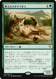 card347490-series225734-rarity323476