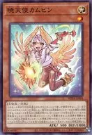 card20875-series58777-rarity1