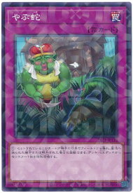 card4802-series5690116-rarity2