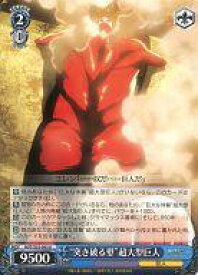 card581967-series454643-rarity557246