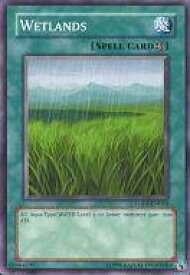 card608653-series494861-rarity540534