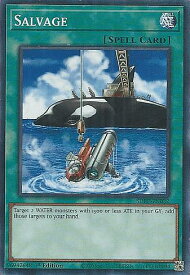 card715421-series432730-rarity540534