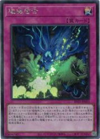 card7266679-series7680455-rarity5