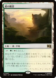 card300177-series8038002-rarity323476