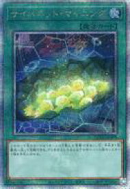 card_4066_