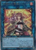 card4269-series2798-rarity77