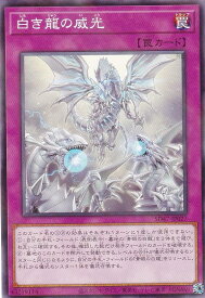 card_554_series_1024_rarity_2_