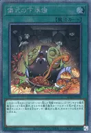 card6036-series5072-rarity1021