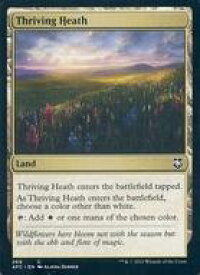 card_326864_series_212421_rarity_323480_