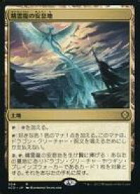 card1917-series4003-rarity62