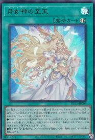 card8494500-series9008810-rarity7