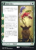 card_8514066_