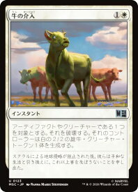 card_8499445_