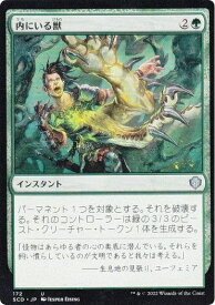 card_8524370_