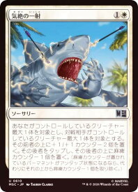 card_8546253_