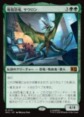 card_8546375_