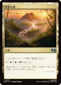 card_8526116_